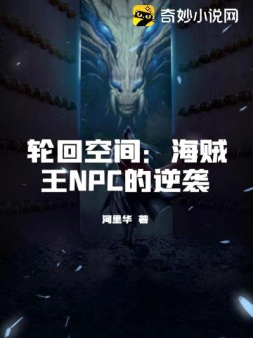 轮回空间：海贼王NPC的逆袭